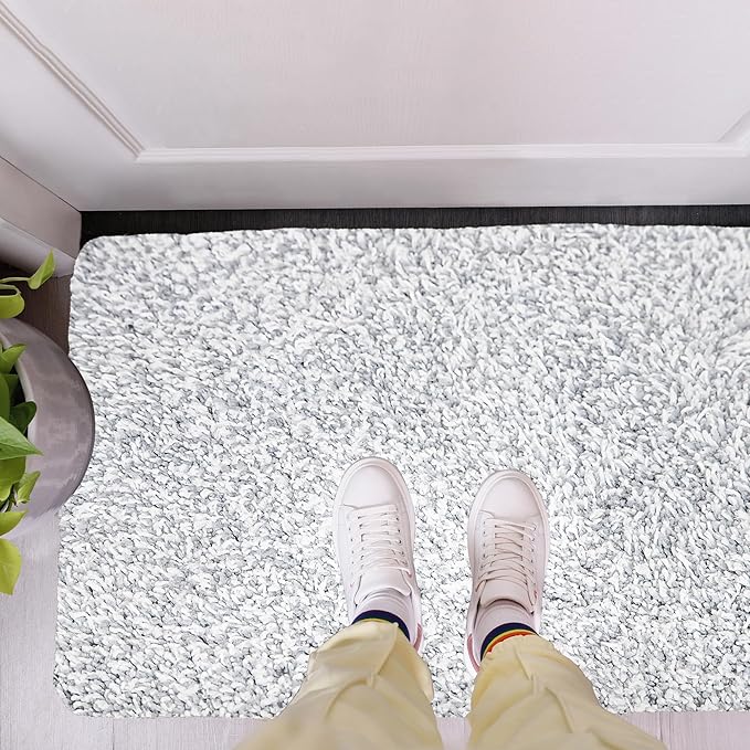 Premium Microfiber Indoor Door Mat – 24"x36" Washable Entry Mat, Non-Slip, Waterproof Backing, Super Absorbent, Low Profile Entryway Doormat for Indoor Entrance