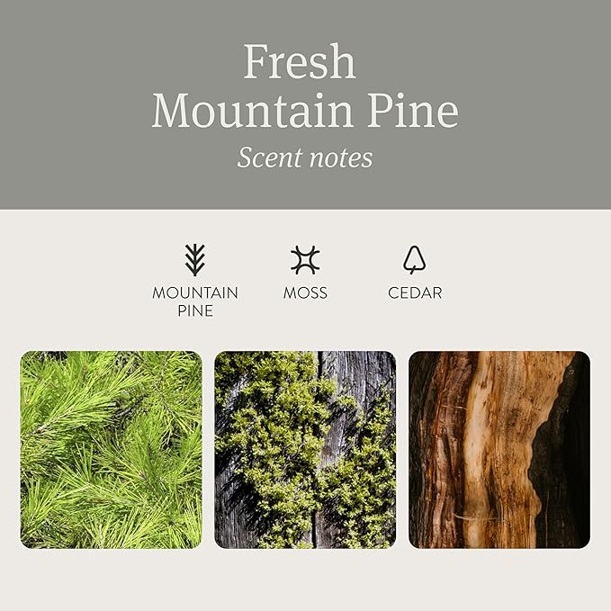 Drift Car Air Freshener - Stone Air Freshener Starter Set - Car Odor Eliminator - Pine Scent