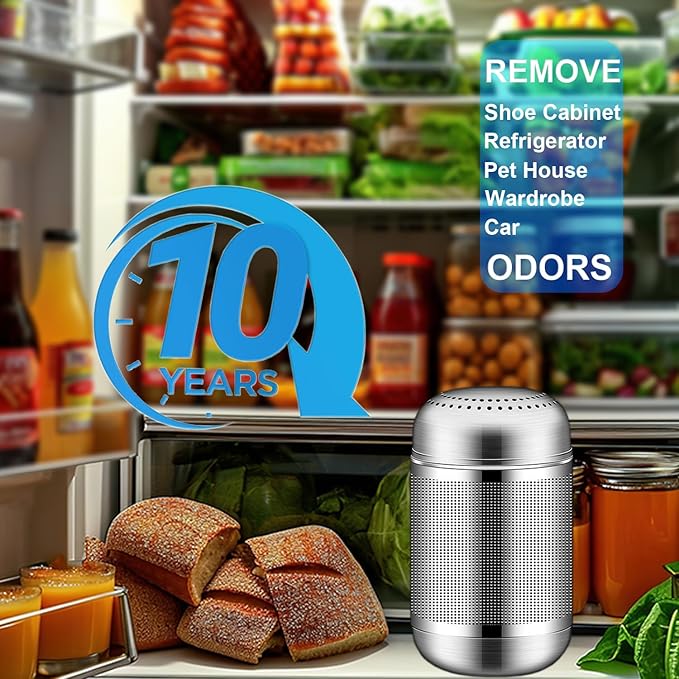 Refrigerator Deodorizer Refrigerator Odor Eliminator Fridge Deodorizer Compact Size Potable Deodorizer Odor Eliminator Lasts for 10 Years (Large, 1pc)