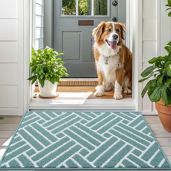 OLANLY Indoor Door Mat, 36x24 Inch, Dirt Resistant and Absorbent, Non-Slip Rubber Backing Floor Mats, Easy Clean Low-Profile Doormat for Entryway, Front Door, and Inside Entrance, Sage Green