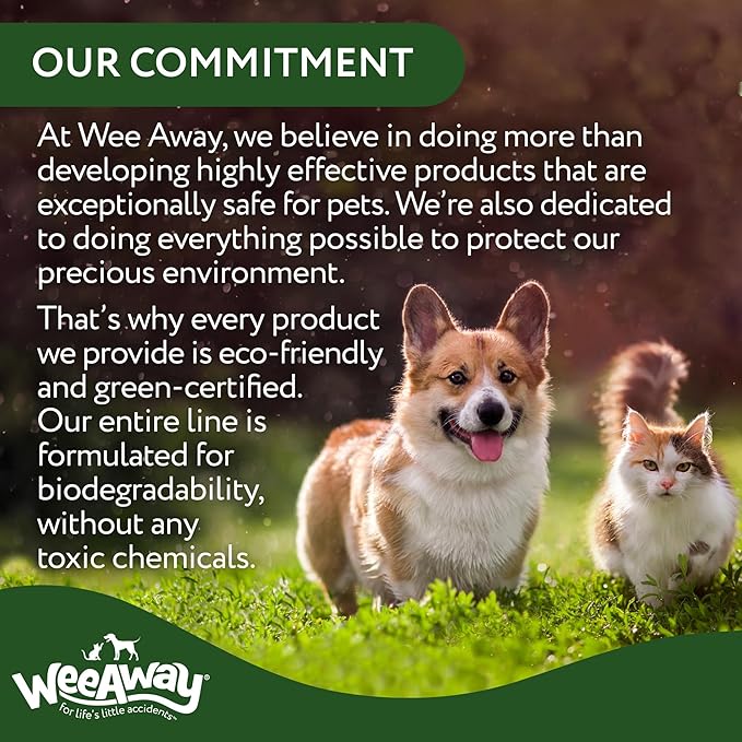 Wee Away X2 Ultra Concentrated Pet Stain and Odor Remover, Enzyme Cleaner for Cat Urine and Poop Carpet & Furniture Safe, Pet Urine Odor Eliminator Spray (Green Tea 16 oz)