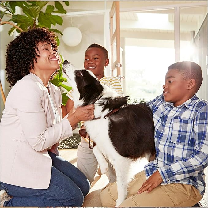 Filtrete 14x25x1 AC Furnace Air Filter, MERV 11, MPR 1000, Micro Allergen Defense, 3-Month Pleated 1-Inch Electrostatic Air Cleaning Filter, 6 Pack (Actual Size 13.81x24.81x0.81 in)