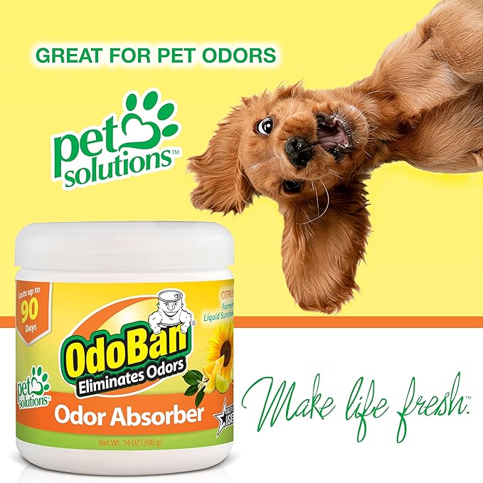 OdoBan Solid Odor Absorber Eliminator for Home and Small Spaces, Citrus Scent, 14 Ounces Each, 3-Pack