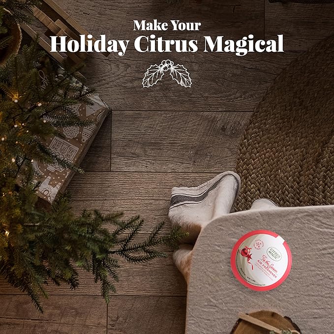Citrus Magic Holiday Odor Absorbing Solid Air Freshener, 'Tis the Season, 7-Ounce, Pack of 3