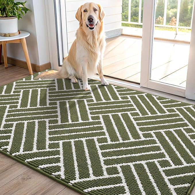 OLANLY Indoor Door Mat, 48x32 Inch, Dirt Resistant and Absorbent, Non-Slip Rubber Backing Floor Mats, Easy Clean Low-Profile Doormat for Entryway, Front Door, and Inside Entrance, Green